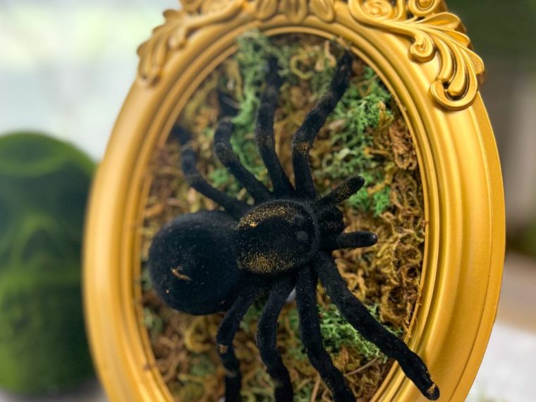 An easy Halloween Dollar Tree craft of fake taxidermy spiders in a gold frame